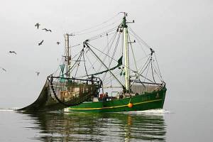 bron: http://www.waddenzee.nl/Visserij.35.0.html