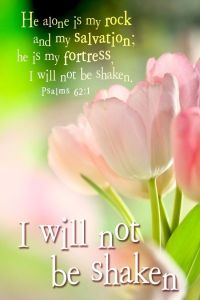 6d99195c62ddd7bc46dbc9f96613f4b9