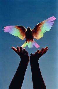 Magical bird takes flight.