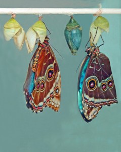 tumblr_le0cdkNn6t1qabvzeo1_500