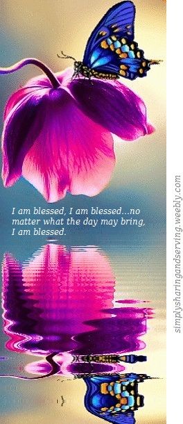 64a3ec77b82c5ecce5b21c6acfa53332