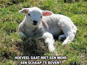 addtext_com_MTU0NjM0NTEzMzI