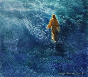 b54fe8f50fbc9dfe801b1caf16c52021