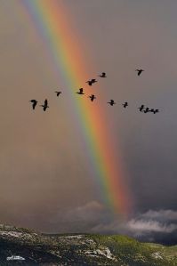 27a3cc607542bd6028992c8f01dfc2b9