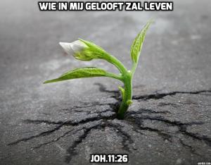 addtext_com_MTA0MTUyMzUxMDY