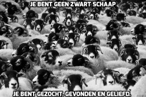 addtext_com_MTcxMzM1MTg0ODc