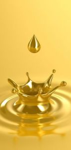 0c17398b8d3aecd3da86f822fe7d0532