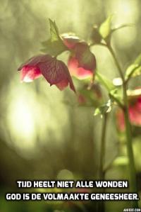 addtext_com_MTQzMDQ4NzE1NTQ