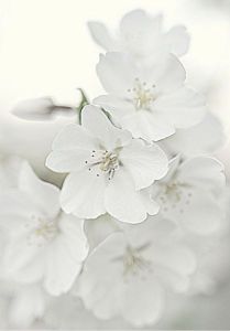 41b458c20a6f8cb307d52121c41b1aa7