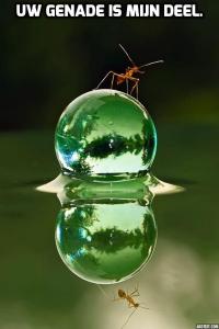 addtext_com_MDkzNDI3MzIxMg