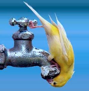 15541b67077e1a587d89a7b3939f43f7