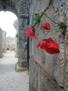 fc685e1450f632a437d5552324d32ed3