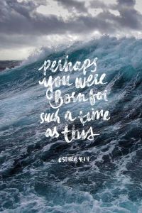 bc386a630fca30bee114781d526b12da