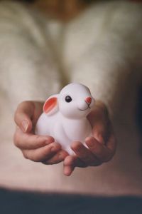 5b4ac0de36f3ed104227d8b9310ed5a9