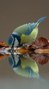 8ccd6a221bb7b2270b329ed4bfd803b0