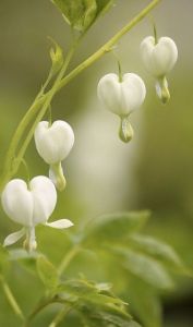 95c0b5797594ac3ecef8115760f24633