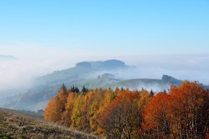 autumn-1548642_960_720