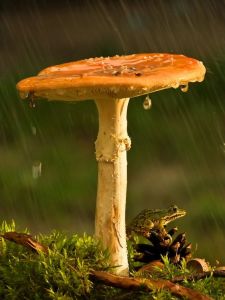 c75f803c5daddd102758081556d1c8e9