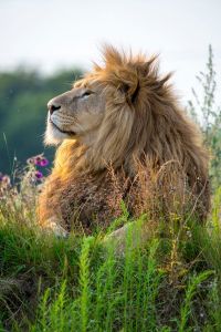 86d89dca50b6f253868ff23a4b15c972