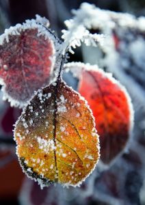 5c412fae57941c5607ee98cc1d11dbf3