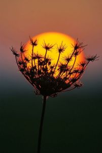 627cdefa4290b9b5e7cc8acddba708f9